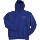 Carolina Thunder Super Heavyweight Fleece Hoodie